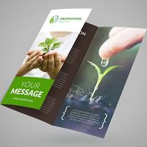 brochure sample